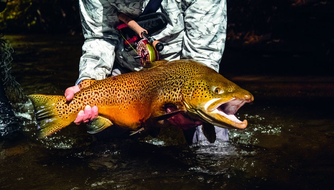 How to Catch Bruiser Brown Trout
