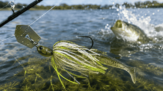 Chatterbait Mastery: From Beginner to Pro – Proven Techniques
