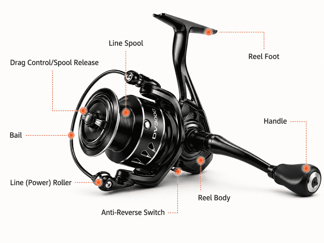 Spinning Reel Anatomy – A 2026 Visual Guide to Every Component