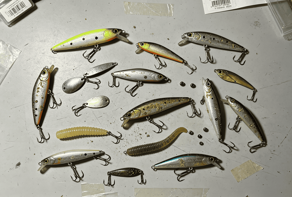 Seasonal Lure Selection – A 2025–2026 Guide to Thinking Beyond the Calendar