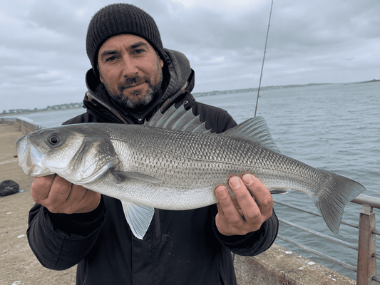 Bass Basics – Essential Shore‑Fishing Tactics for Beginners (2025–2026 Update)