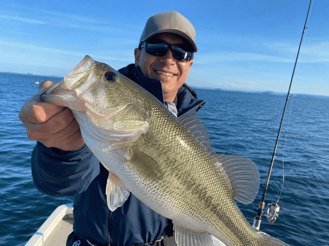 Crankbait Basics – Simplify, Streamline, and Succeed (2025–2026 Update)