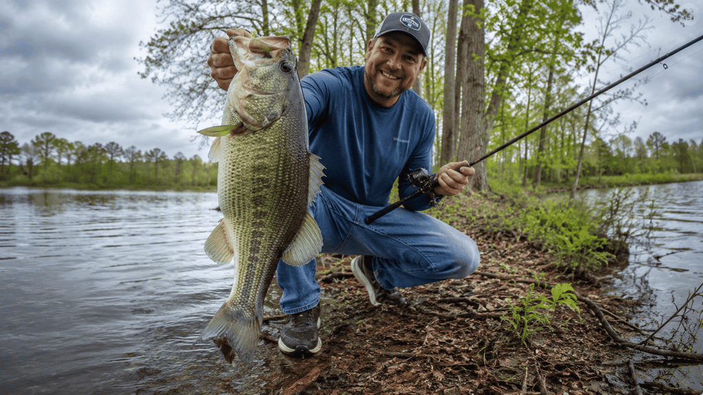Finesse Fishing – The Art of Catching Bass When Nothing Else Works