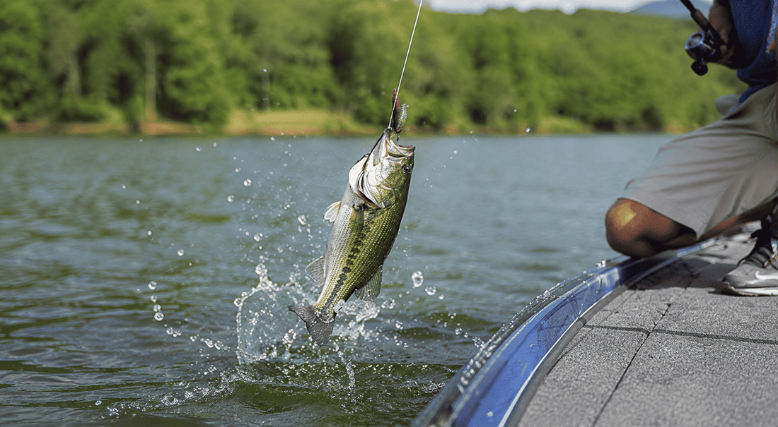 Plastic Worms – A 2025–2026 Guide to Trophy Bass Tactics