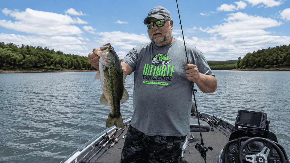 Gliding With The Wind For Bass – A 2026 Perspective