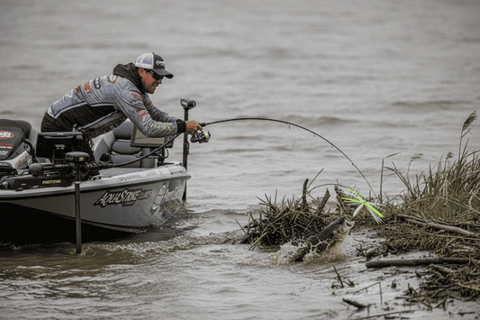 Fishing the Spinnerbait – Why This Classic Bass Lure Still Works in 2025–2026